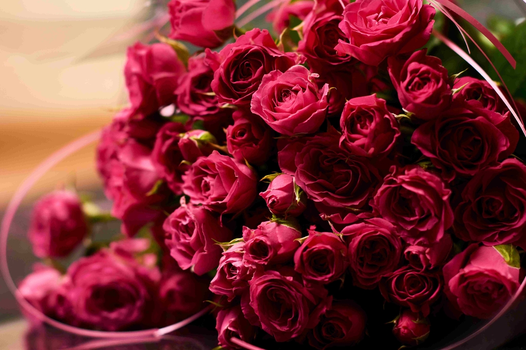 Bukiet róż/Bouquet of roses