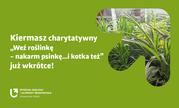 Grafika na kiermasz