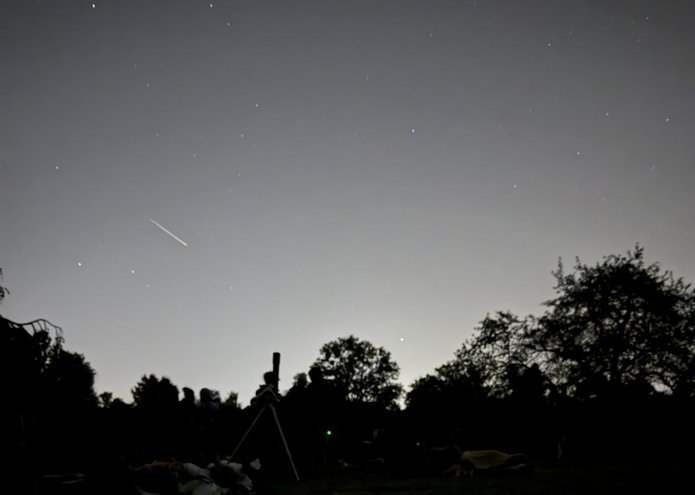 Nocne niebo nad Ogrodem Botanicznym, usiane gwiazdami. W lewej części nieba widoczna jest jasna, krótka smuga meteoru – Perseidy. Na dole zdjęcia, na ciemnej polanie, widać sylwetki osób leżących na kocach oraz teleskop ustawiony na statywie. W tle znajdują się ciemne sylwetki drzew.