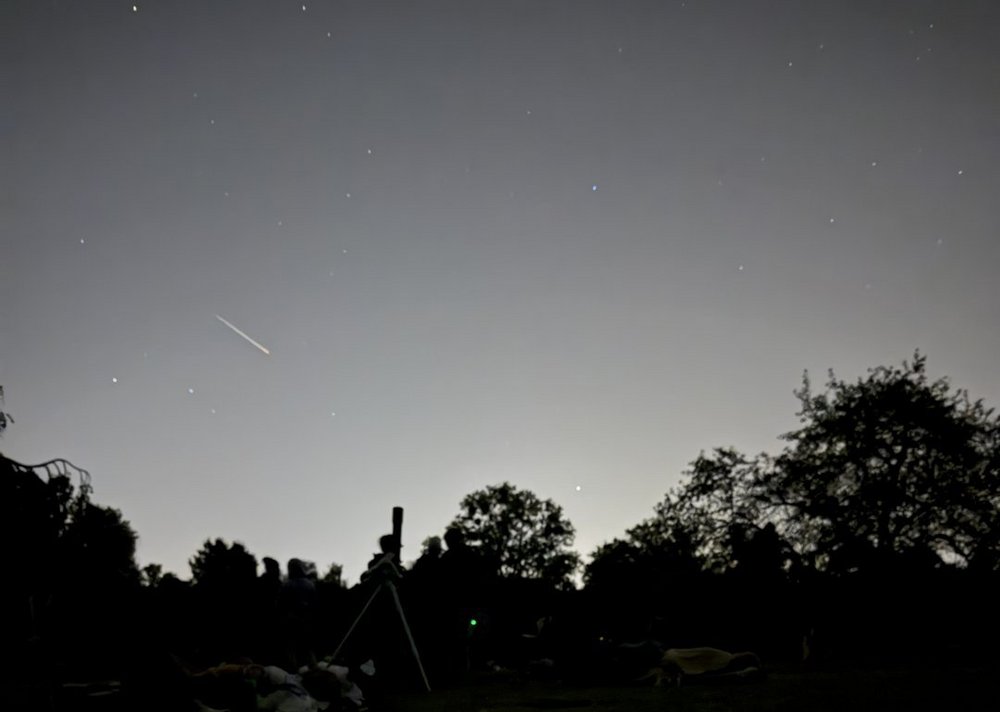 Nocne niebo nad Ogrodem Botanicznym, usiane gwiazdami. W lewej części nieba widoczna jest jasna, krótka smuga meteoru – Perseidy. Na dole zdjęcia, na ciemnej polanie, widać sylwetki osób leżących na kocach oraz teleskop ustawiony na statywie. W tle znajdują się ciemne sylwetki drzew.