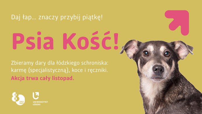A black and white dog on a yellow background with the words: "Psia Kość!" We're collecting donations for the Lodz Animal Shelter: specialised pet food, blankets and towels. The campaign runs throughout November.