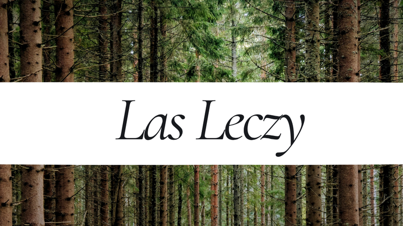 Zdjęcie lasu z napisem "Las Leczy"