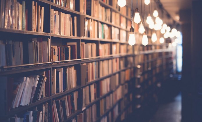 Długi, wąski korytarz biblioteki wypełniony wysokimi regałami z książkami po lewej stronie. Półki są szczelnie zapełnione tomami w różnych kolorach i rozmiarach. Po prawej stronie sufitu wzdłuż całego korytarza zwisają pojedyncze, ciepło świecące żarówki, tworząc przytulne i nastrojowe oświetlenie. Perspektywa zdjęcia prowadzi wzrok w głąb pomieszczenia, gdzie widać delikatne światło dzienne. Atmosfera jest spokojna, kameralna i sprzyjająca czytaniu.